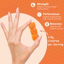 creatine-monohydrate-gummies-4500mg-per--4.jpg