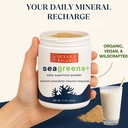 ocean-s-balance-seagreens-daily-superfoo-3.jpg