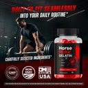 horse-peak-gelatin-official-horsepeak-ge-5.jpg