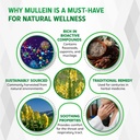 mullein-liquid-drops-peppermint-elderflo-5.jpg