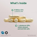 jarrow-formulas-ideal-bowel-support---10-3.jpg