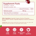 high-strength-berberine-supplement-500mg-2.jpg