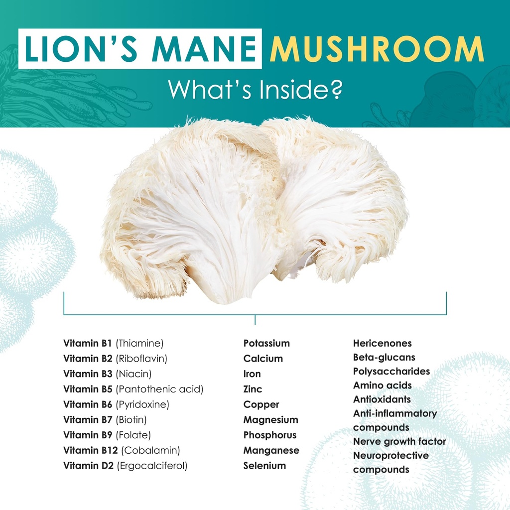 lion-s-mane-powder-organic-lions-mane-mu-4.jpg