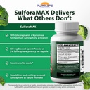 sulforamax-60-capsules-sulforaphane-broc-4.jpg