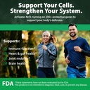 sulforamax-60-capsules-sulforaphane-broc-2.jpg