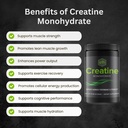 creatine-monohydrate-powder-micronized-p-5.jpg