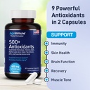sod-antioxidants-complex-healthy-aging-s-6.jpg