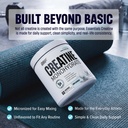 nutrex-research-essentials-creatine-mono-4.jpg