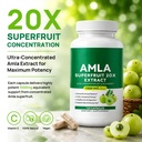 amla-capsules-20-1-amla-extract-herbal-s-3.jpg