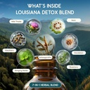 herbera-louisiana-herbal-detox-blend-usd-4.jpg