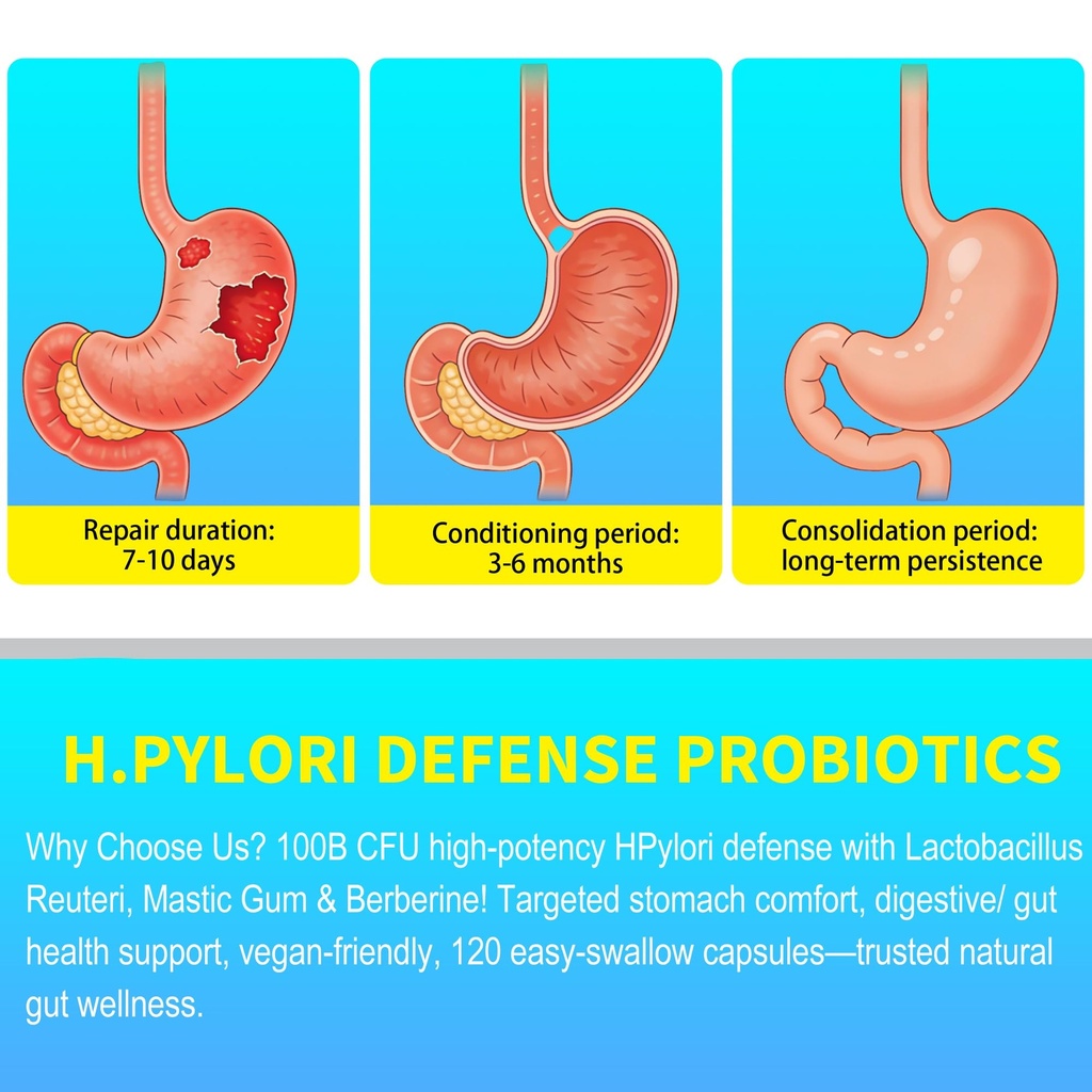 h-pylori-defense-supplements-stomach-com-4.jpg