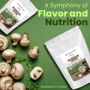 z-natural-foods-organic-reishi-mushroom--3.jpg