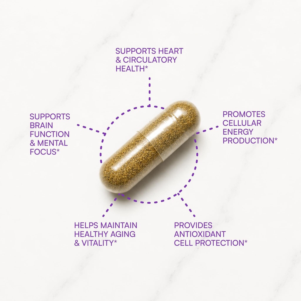 purity-products-coq10-daily-super-boost--3.jpg