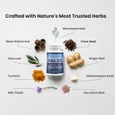 pura-site-intestinal-health-formula-diat-6.jpg