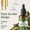 herbamama-white-willow-bark-tincture-joi-6.jpg