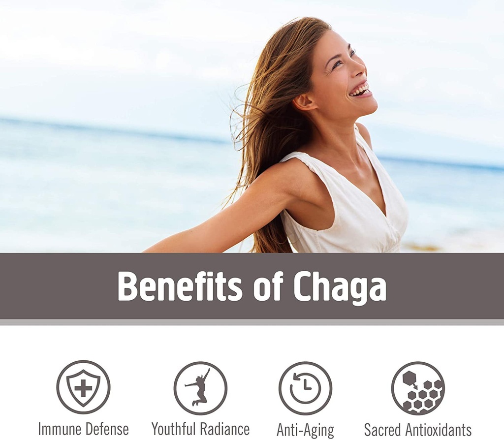 om-mushroom-superfood-chaga-mushroom-cap-3.jpg