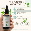 usda-organic-chickweed-alcohol-free-liqu-2.jpg