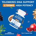 telomeres-dna-support-anti-aging-supplem-4.jpg