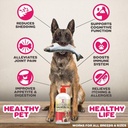 savvybeast-wild-alaskan-salmon-oil-for-d-5.jpg