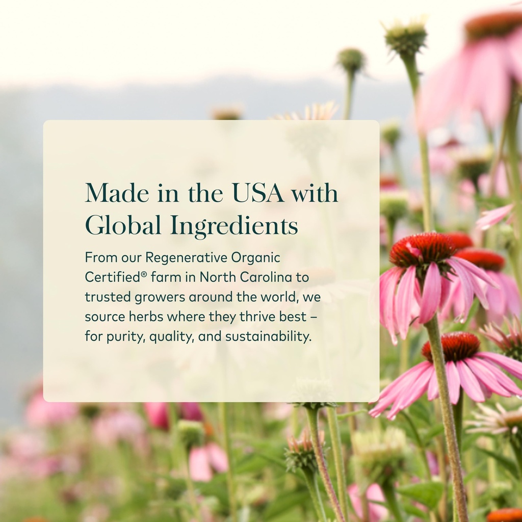 gaia-herbs-echinacea-supreme-1-fl-oz-reg-4.jpg