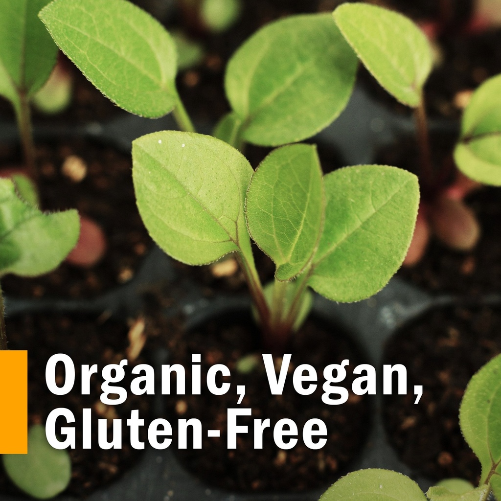 herb-pharm-certified-organic-shatavari-l-2.jpg