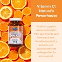 garden-of-life-vitamin-code-raw-vitamin--6.jpg