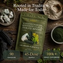 zeolite-binder-for-cleanse-detox-protoco-5.jpg