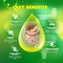 2-pack-gi-revitalize---gi-revitalize-pro-4.jpg