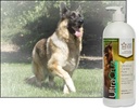 ultracruz-canine-pure-salmon-oil-supplem-6.jpg