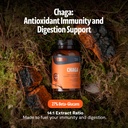 freshcap-mushrooms-premium-organic-chaga-2.jpg