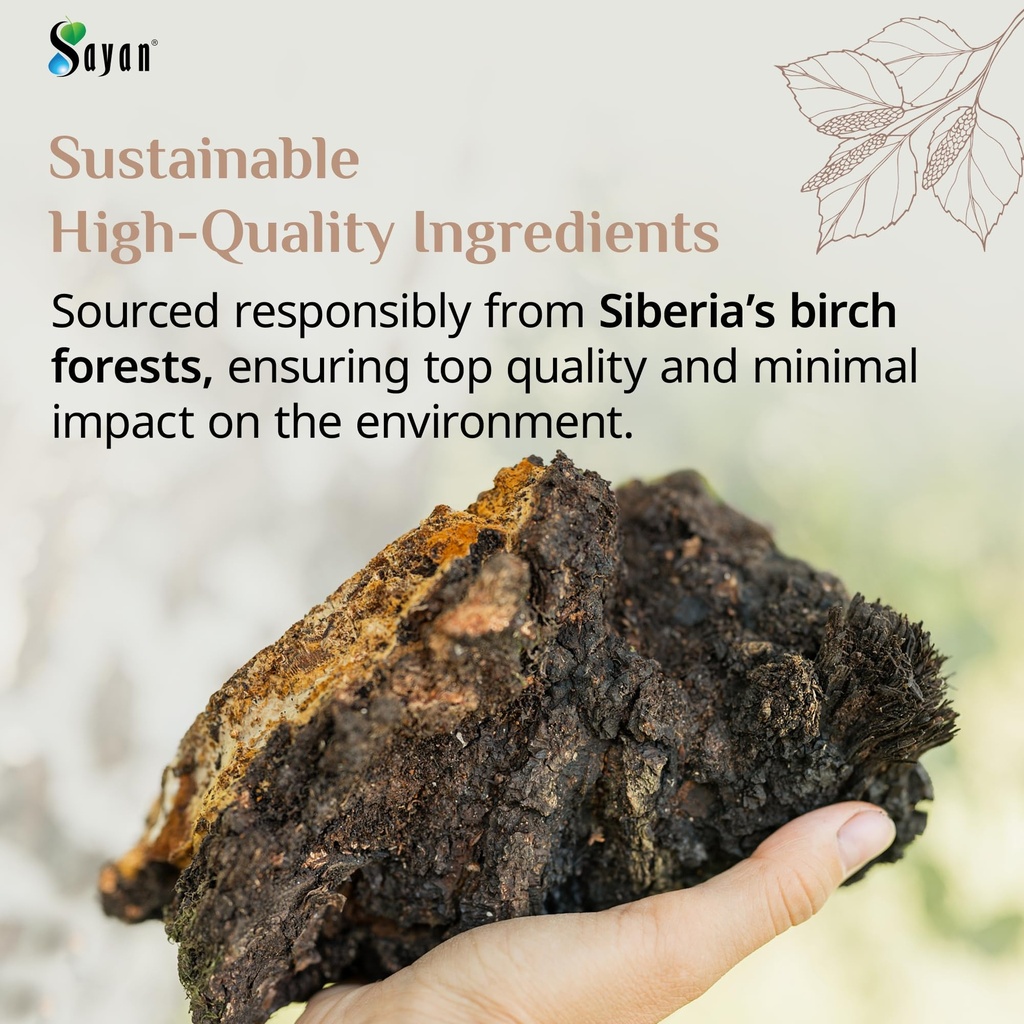 siberian-wild-forest-chaga-mushroom-extr-5.jpg