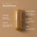 beyond-focus-organic-mushroom-supplement-3.jpg