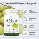 indian-gooseberry-amla-fruit-supplement--2.jpg