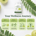 indian-gooseberry-amla-fruit-supplement--4.jpg