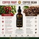 whole-coffee-fruit-extract-brain-focus-m-2.jpg