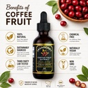 whole-coffee-fruit-extract-brain-focus-m-3.jpg