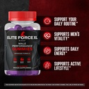 2-pack-elite-force-xl-gummies-official-e-3.jpg