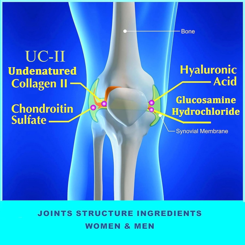 max-flex-uc-ii-collagen-supplement-for-j-3.jpg