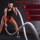 creatine-monohydrate-gummies-5000mg-suga-3.jpg