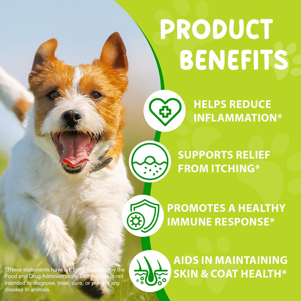 yeast-infection-for-dogs-natural-yeast-i-3.jpg