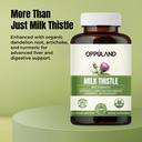 milk-thistle-capsules-250mg-herbal-liver-5.jpg