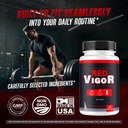 2-pack-red-vigor-capsules-redvigor-advan-5.jpg