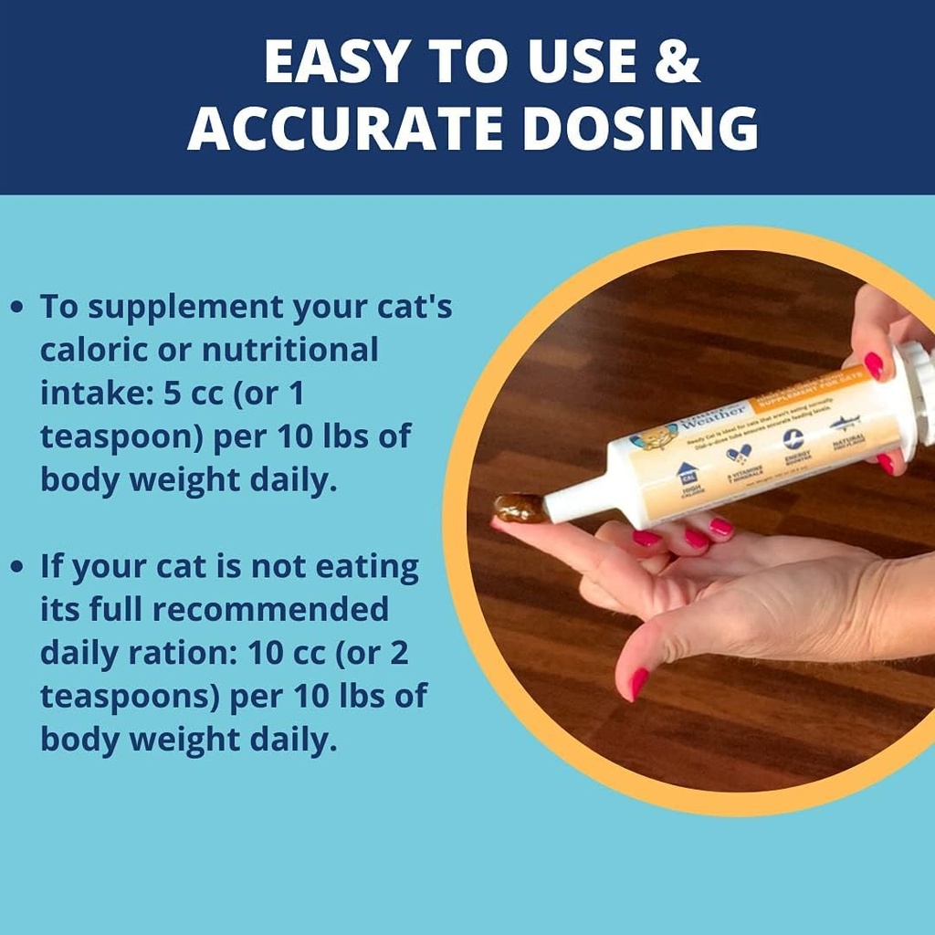 under-the-weather-pet-ready-cal-for-cats-6.jpg