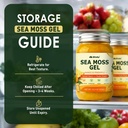 sea-moss-gel-mango-pineapple-18-5-oz-iri-6.jpg