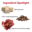 vibrant-health-immune-defense-natural-im-5.jpg