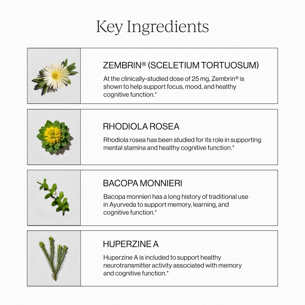 cymbiotika-liposomal-brain-complex-for-f-4.jpg