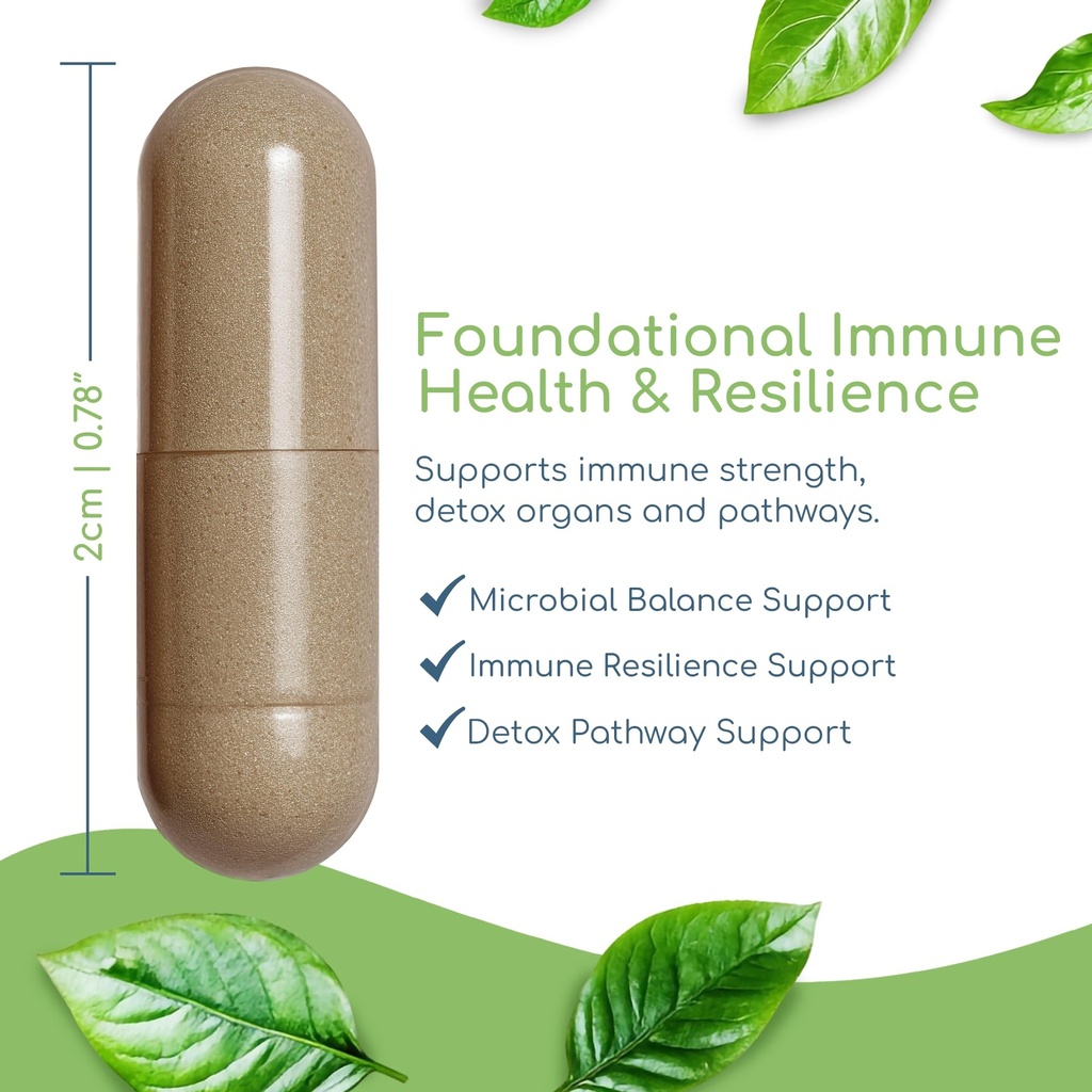 cryptolepis-synergy-immune-support-vitam-4.jpg
