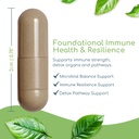 cryptolepis-synergy-immune-support-vitam-4.jpg