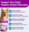 k9-slim-dog-weight-loss-supplement-natur-2.jpg