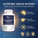 phosphatidylcholine-choline-supplement-4-3.jpg